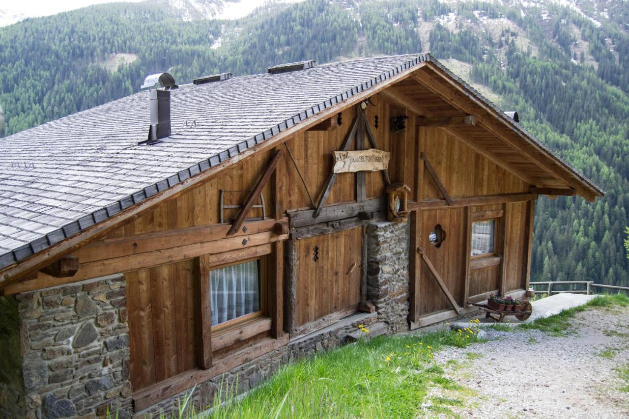 Chalet Mas Del Toni Rabbi Dış mekan fotoğraf